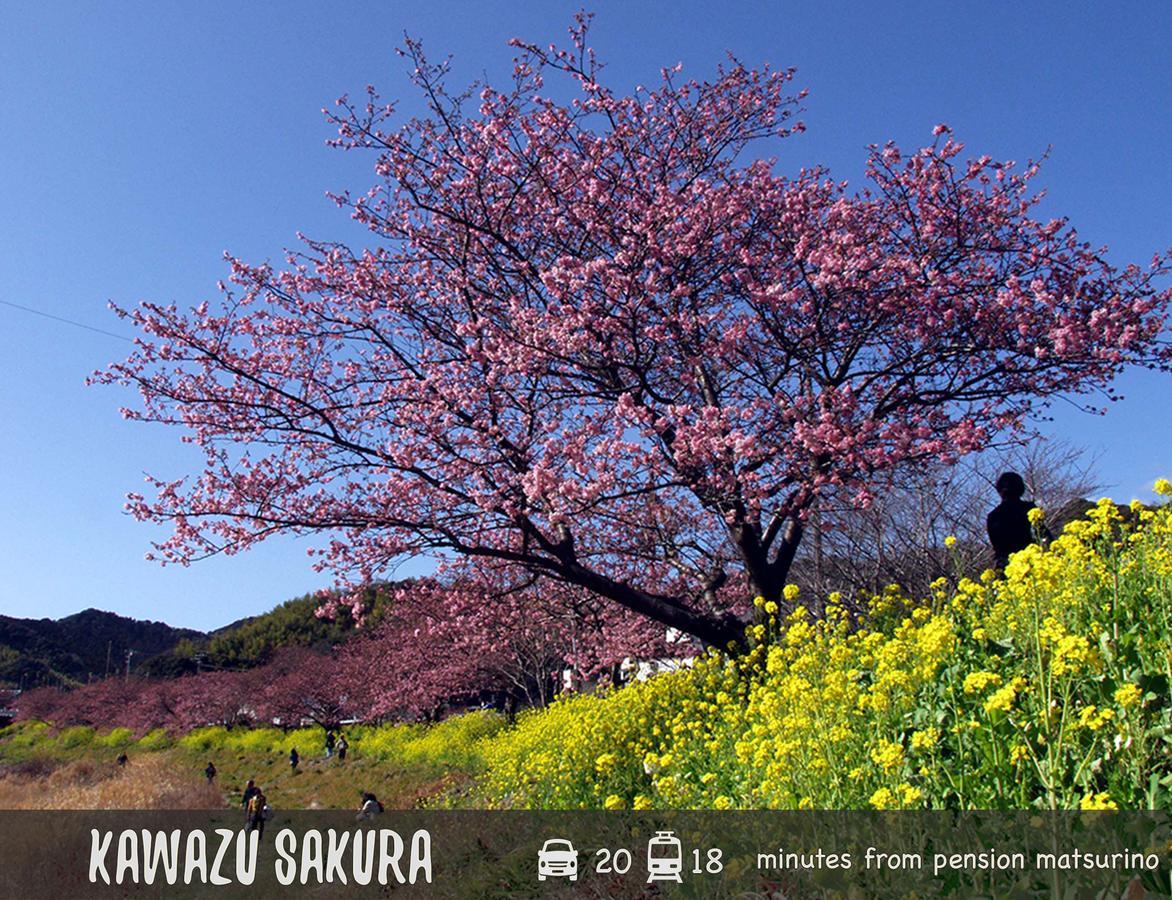 Pension Matsurino Izu  Dış mekan fotoğraf